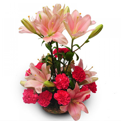 "Lilies and Carnations Flower basket (Krish) - Click here to View more details about this Product
